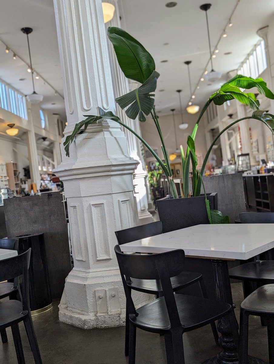 White cast iron column and tropical plants inside St. Roch Market