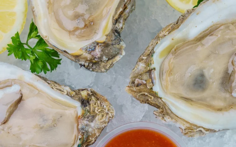 Fresh Gulf oysters at St. Roch Market happy hour
